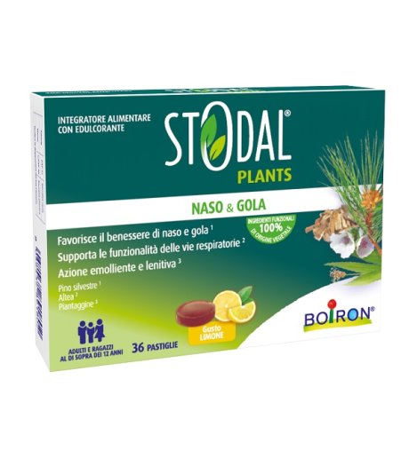 STODAL Plants 36 Past.Limone