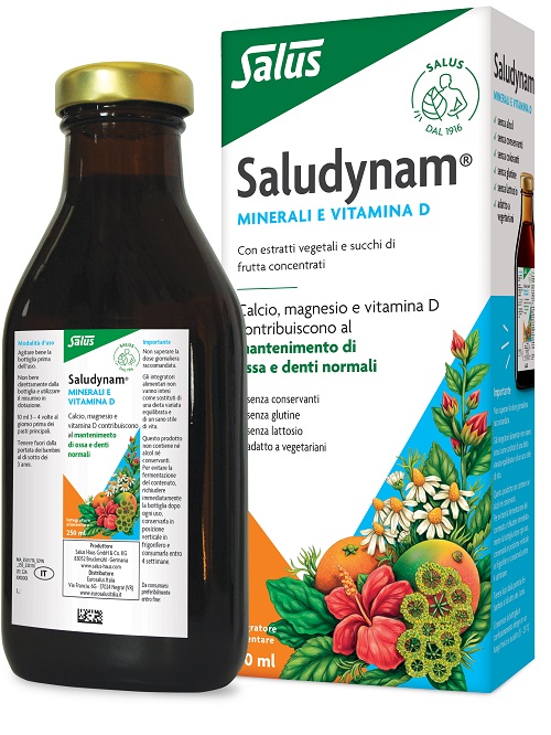 SALUS HAUS Gmbh & Co KG SALUDYNAN TON 250ML SALUS