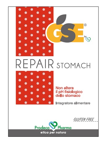 GSE REPAIR INTEGRAT 45CPR
