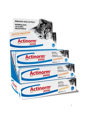CEVA SALUTE ANIMALE SpA ACTINORM PASTA GATTI 65G