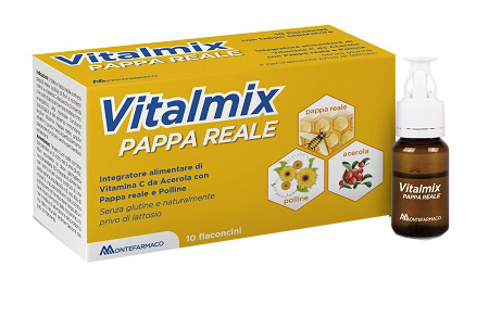 MONTEFARMACO OTC SpA Vitalmix Pap Re 10flx10ml S/gl