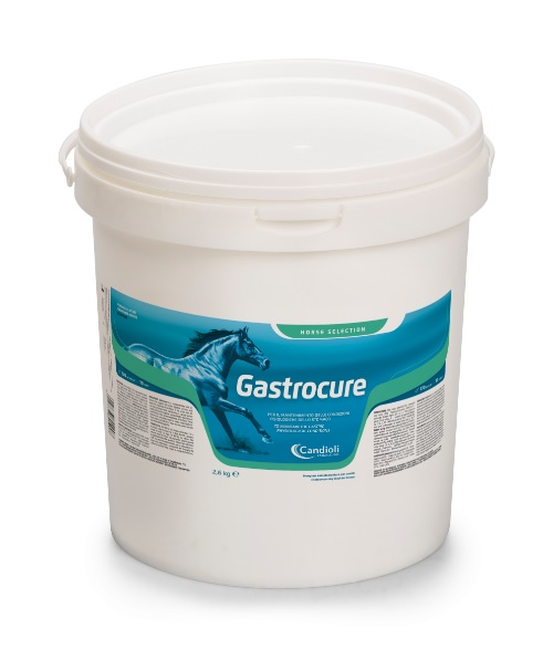 GASTROCURE 2.6 KG