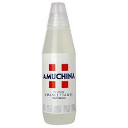 FATER SpA AMUCHINA-FL 1000 ML