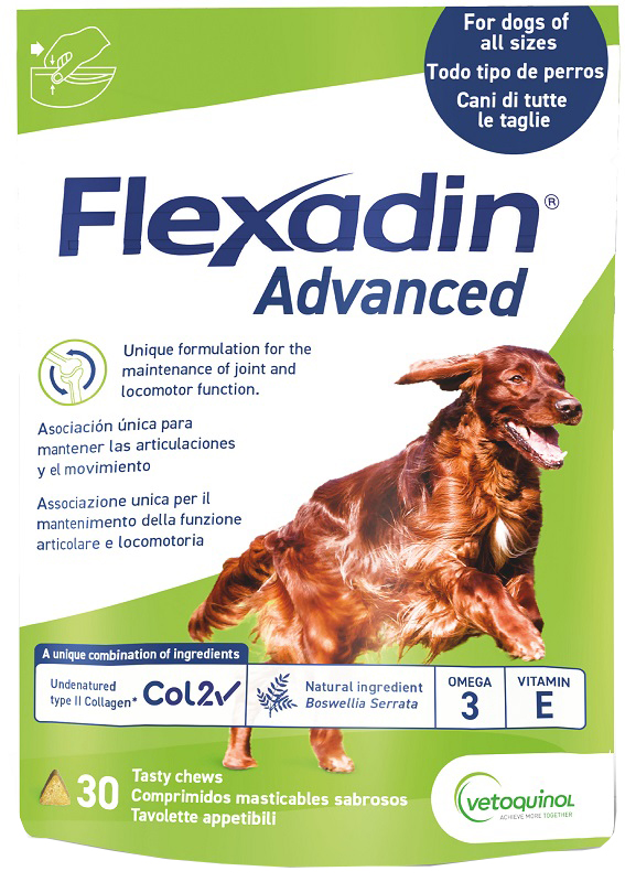FLEXADIN ADVANCED 30TAV MASTIC