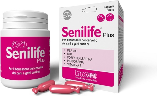 INNOVET ITALIA Srl SENILIFE PLUS 30CPS