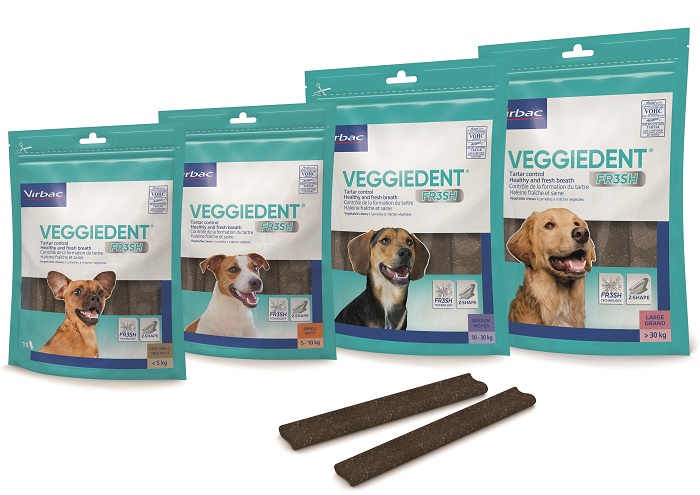 VEGGIEDENT FR3SH M 15 Stick