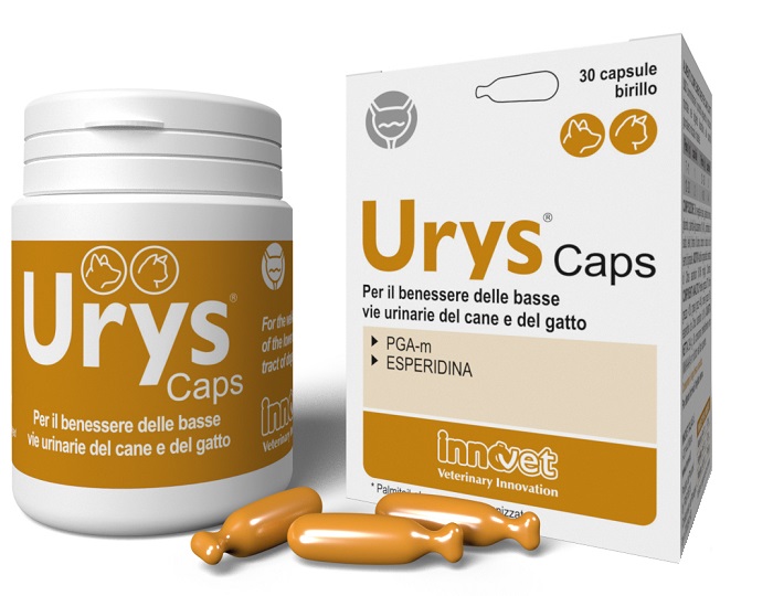 INNOVET ITALIA Srl URYS CAPS 30CPS