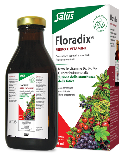 SALUS HAUS Gmbh & Co KG FLORADIX-INTEG FERRO 500ML