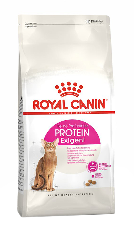EXIGENT PROTEIN-42 400 GR R.C.