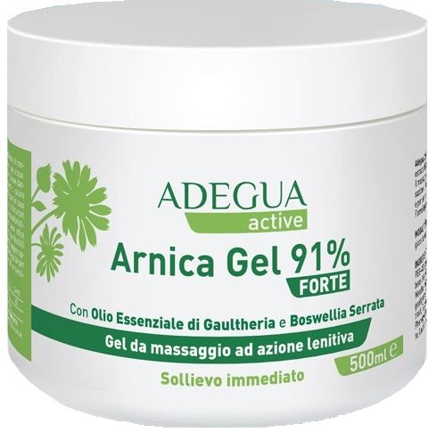 CONSULTEAM Srl ADEGUA ARNICA PLUS 91% GEL EXT