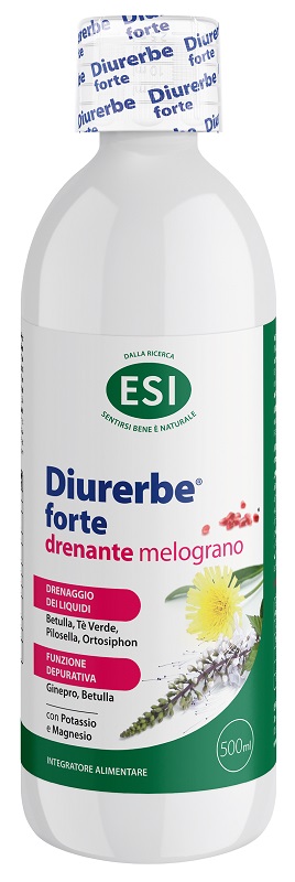 ESI Srl DIURERBE Fte Dren Melogr.500ml