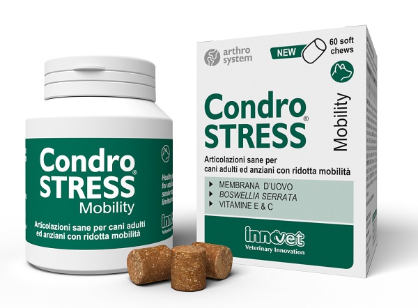 INNOVET ITALIA Srl CONDROSTRESS Mobility 60Chews