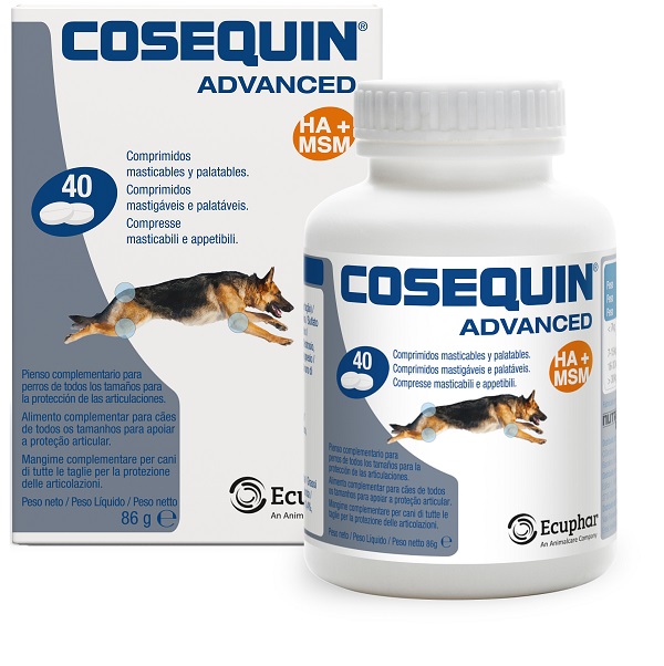 NUTRAMAX LAB. VET. SCIENCES COSEQUIN Advanced Cane 40Cpr