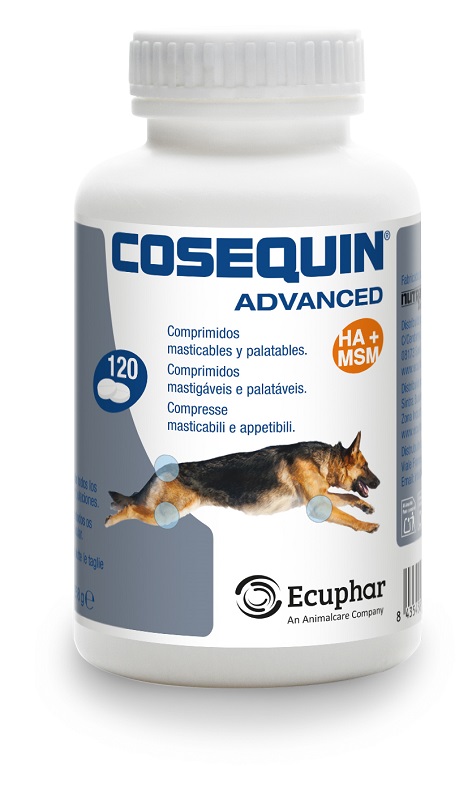NUTRAMAX LAB. VET. SCIENCES COSEQUIN Advanced Cane 120Cpr