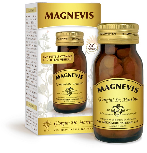 DR.GIORGINI SER-VIS Srl MAGNEVIS 80PAST