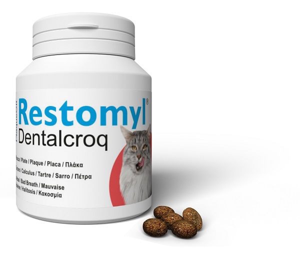 INNOVET ITALIA RESTOMYL DENTRALCROQ GATTO 60G