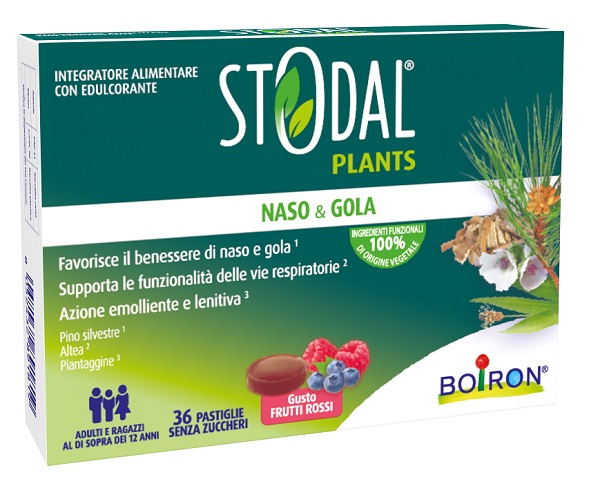 BOIRON Srl STODAL Plants 36 Past.Fr.Rossi